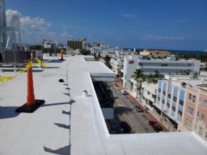 TPO Roofing System